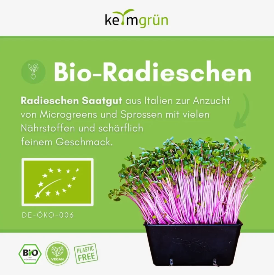 Bio Radieschen - Keimsaat