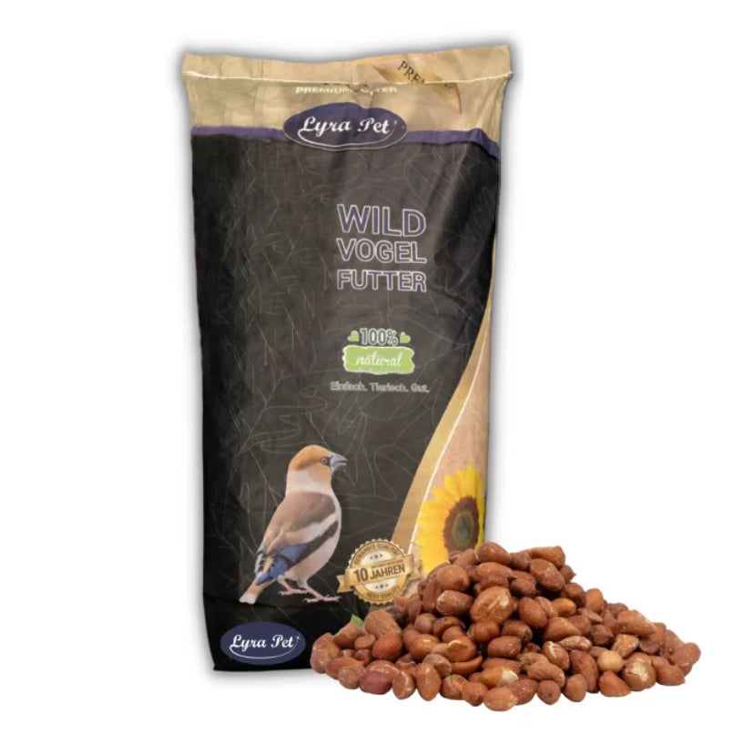 Erdnusskerne mit Haut 10Kg