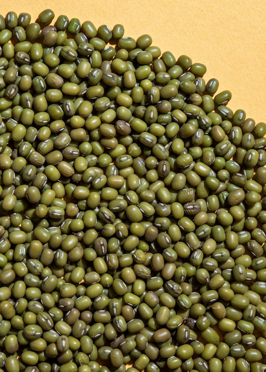 Bio Mungobohnen 2Kg