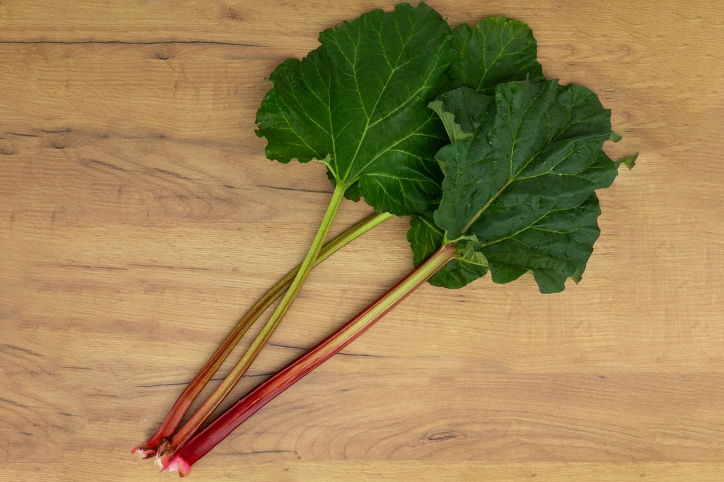 Rhabarber