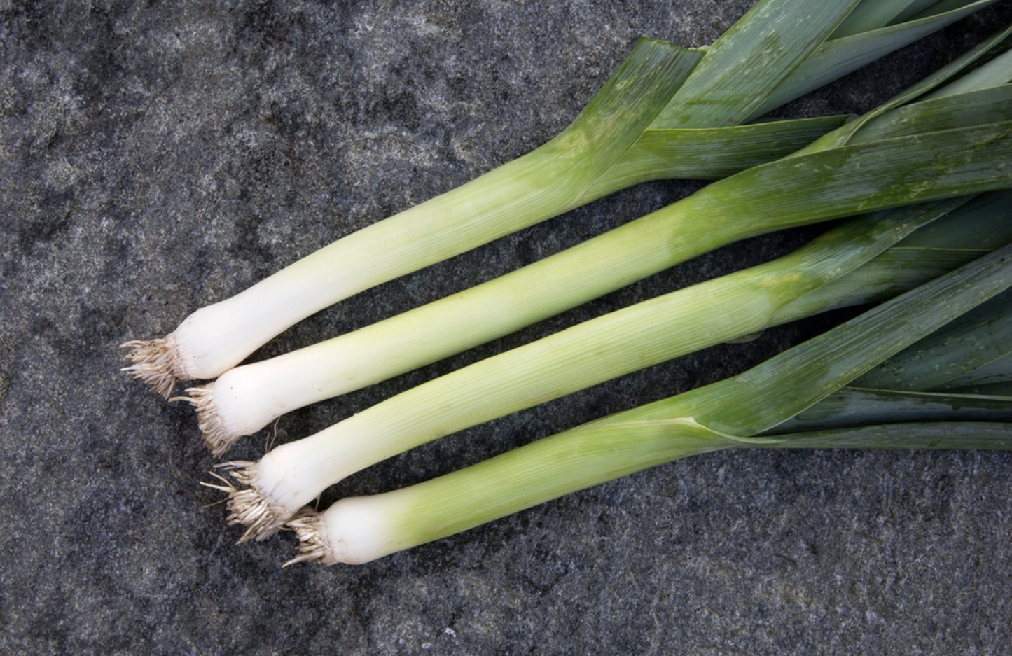 Lauch, Bleu de Solaise