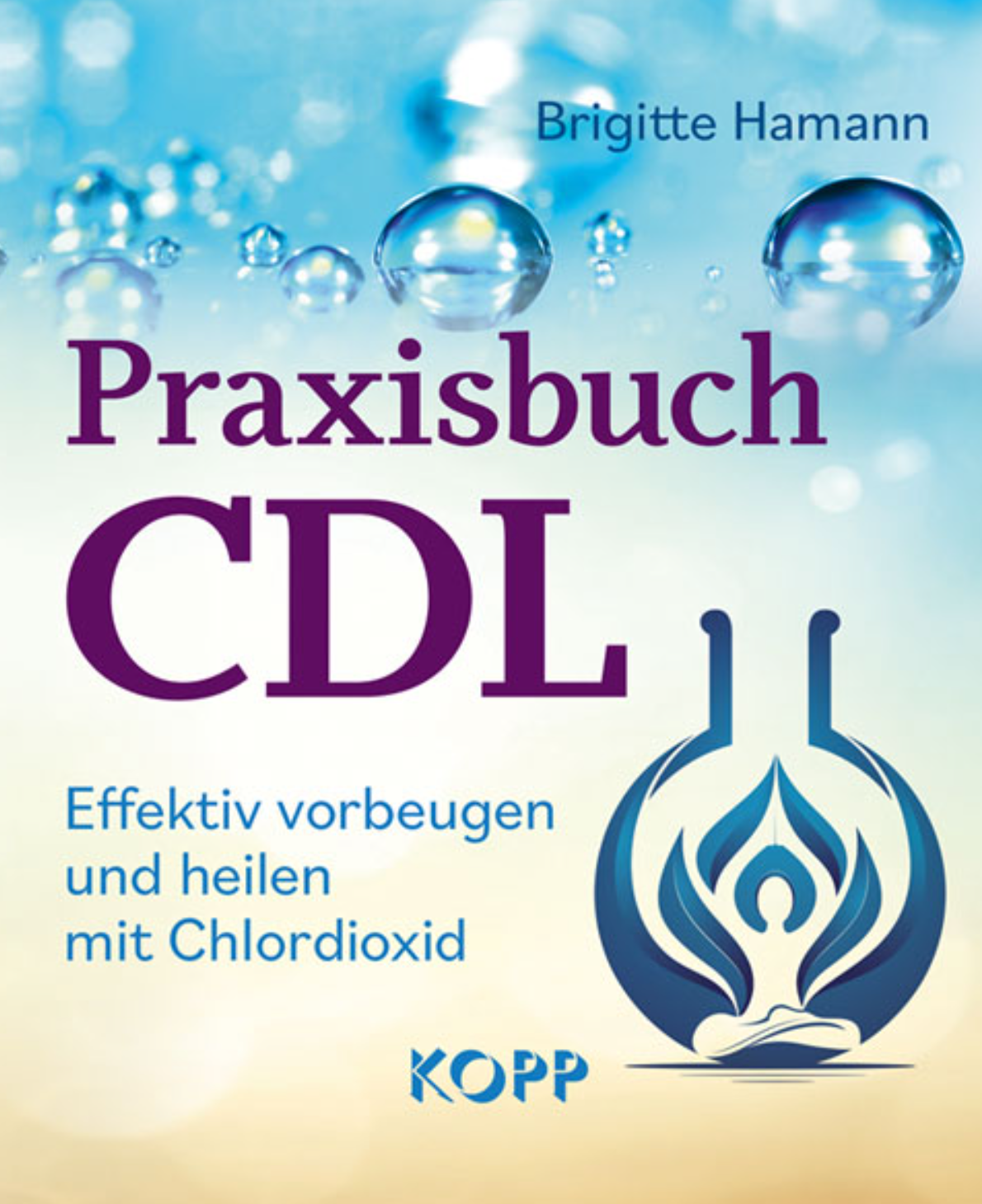 Praxisbuch CDL