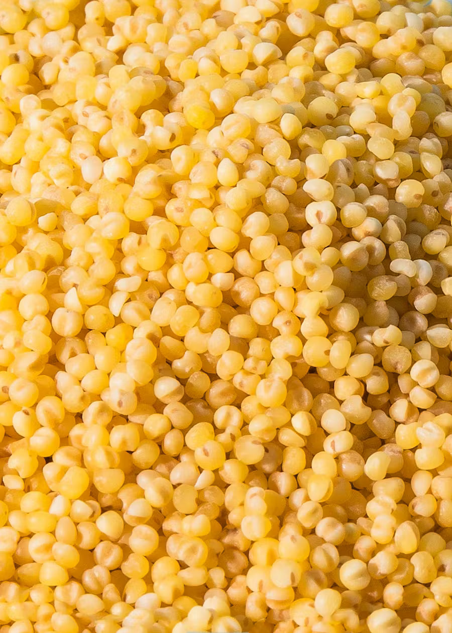 Bio Hirse 2Kg