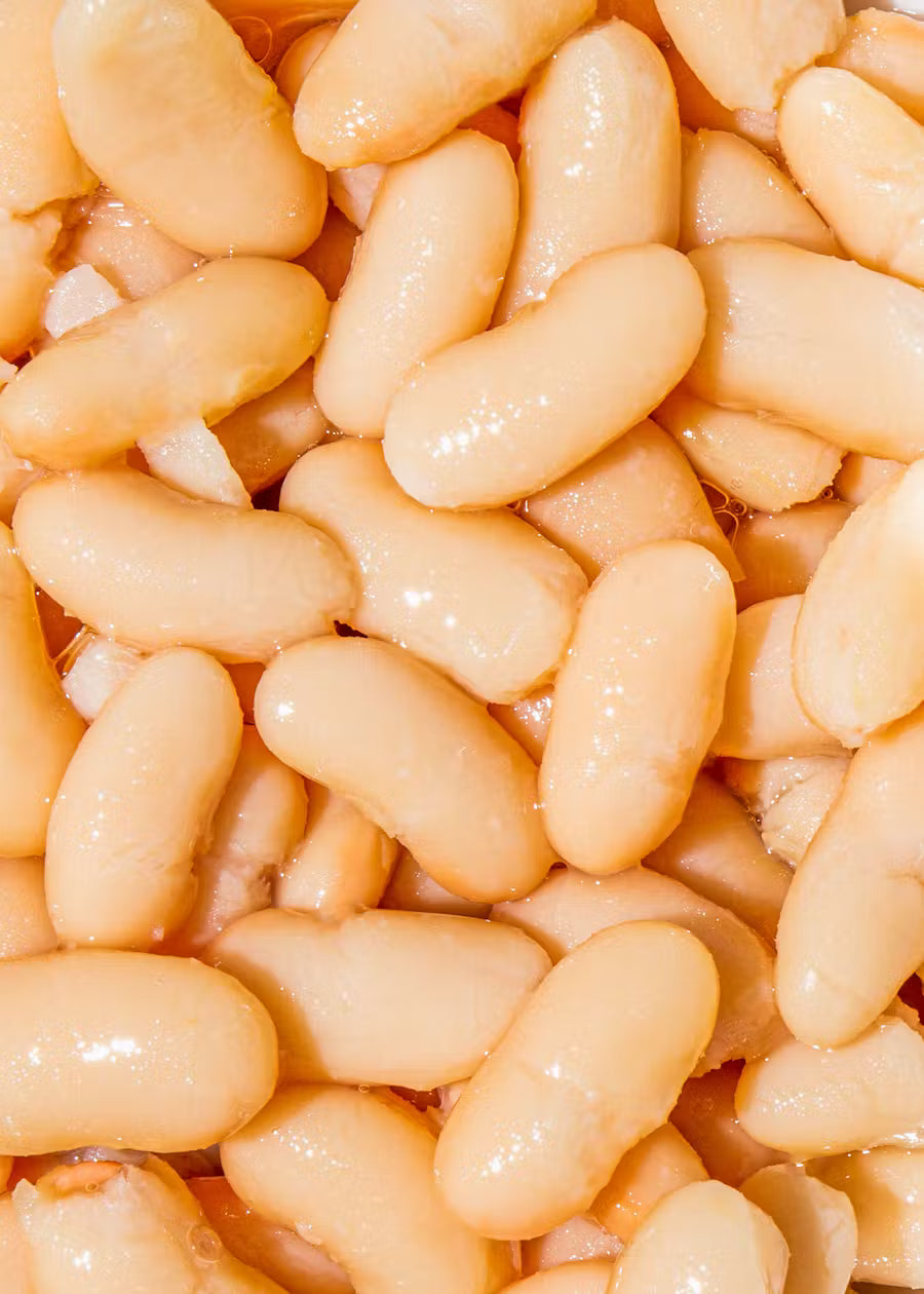 Bio Weiße Cannellini Bohnen in der Dose 240 g