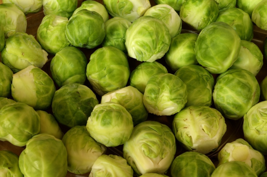 Rosenkohl, Perfection du Pays