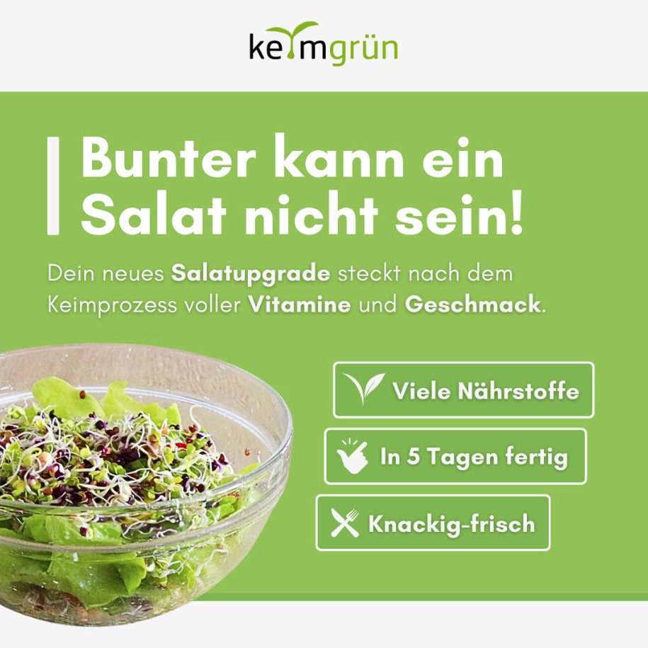 Keimgrün Salat  - Bio-Sprossenmix