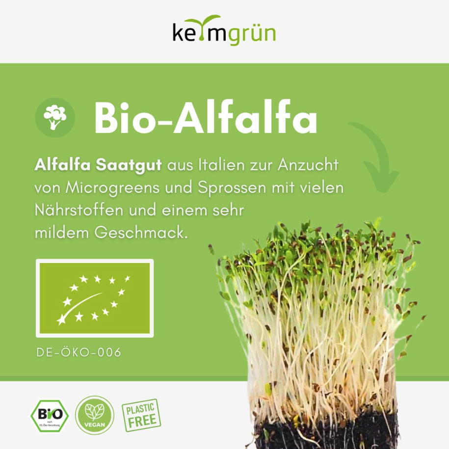 Bio Alfalfa - Keimsaat