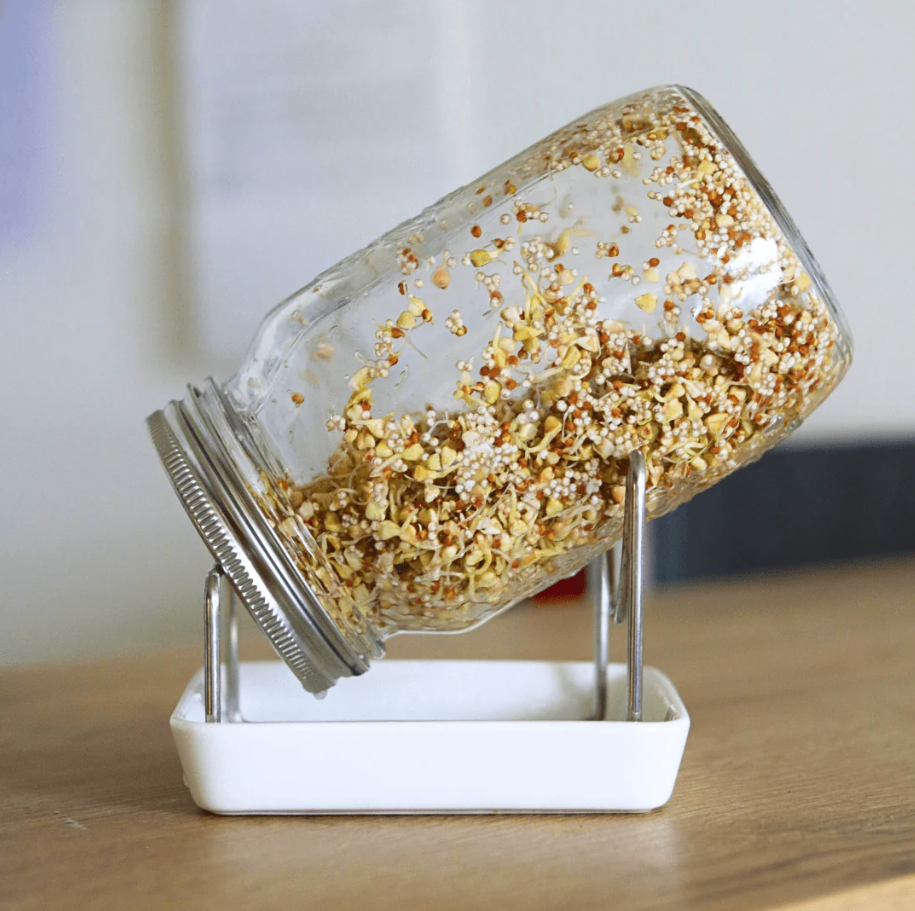 Keimgrün Müsli - Bio-Sprossenmix