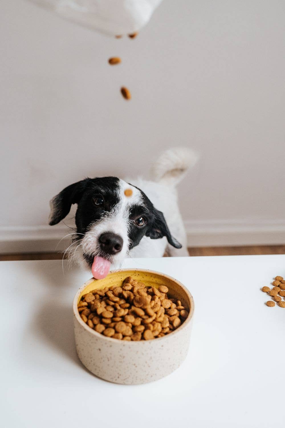 VegDog Simply Crunch Trockenfutter