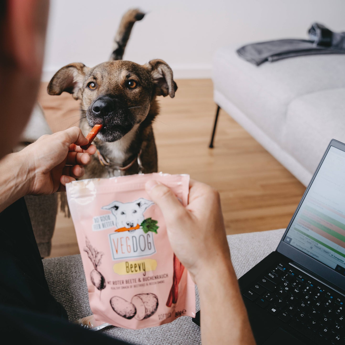 VegDog Beevys 80 g