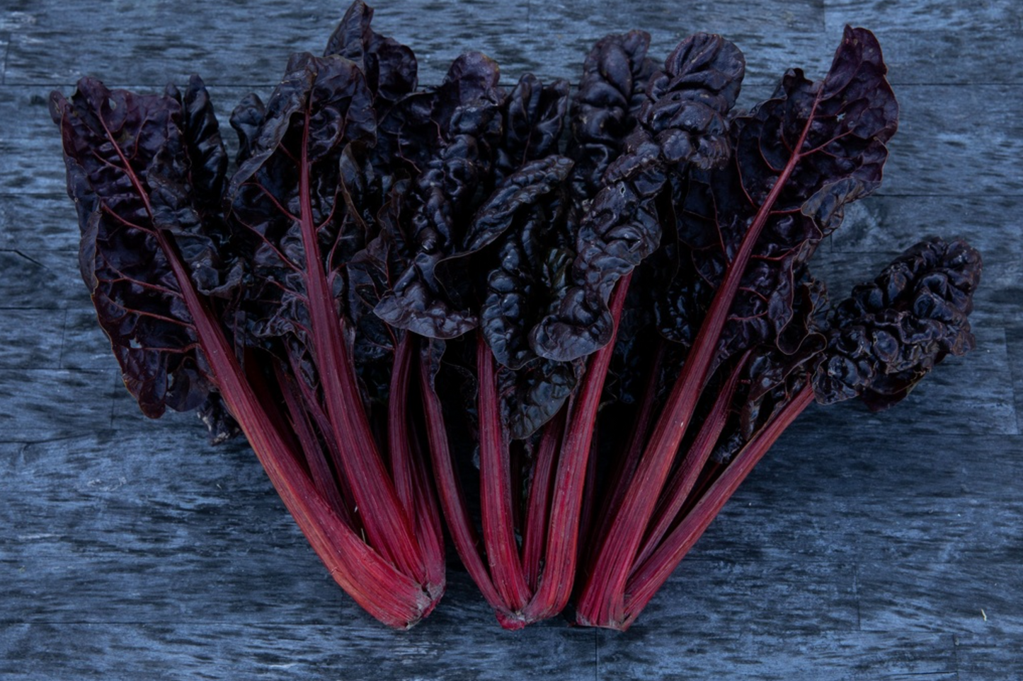 Schnittmangold, Roter